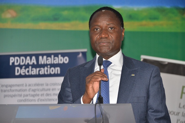SARA 2017: Commémoration de la 8ème Journée Africaine de la Sécurité Alimentaire et de la Nutrition (JASAN). Allocution de Monsieur Mamadou Sangafowa COULIBALY, Ministre de l’Agriculture et du Développement Rural