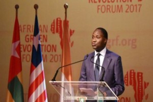 Côte d’Ivoire/ AGRF 2017 : L’Afrique, une nouvelle terre d’opportunités (Ministre de l’Agriculture)