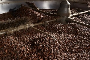 Côte d’Ivoire : le broyage de fèves de cacao en hausse de 10,6 % depuis le début de la saison 30 mai 2017